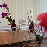 St's Martin Church Apartment *
