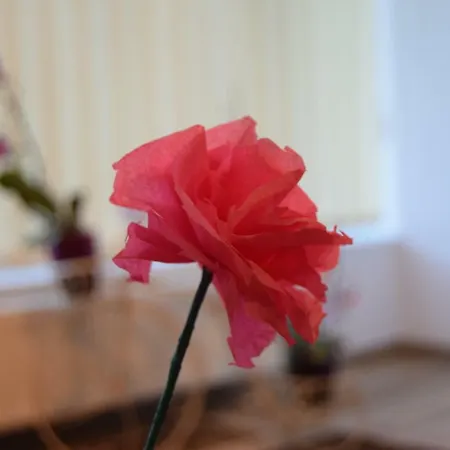 St's Martin Church Daire *