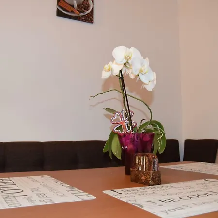 St's Martin Church Daire Braşov