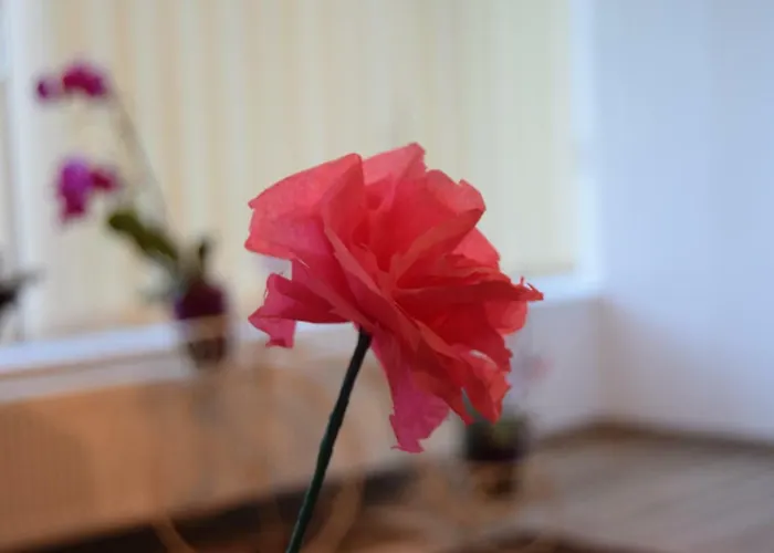 St's Martin Church Apartment *