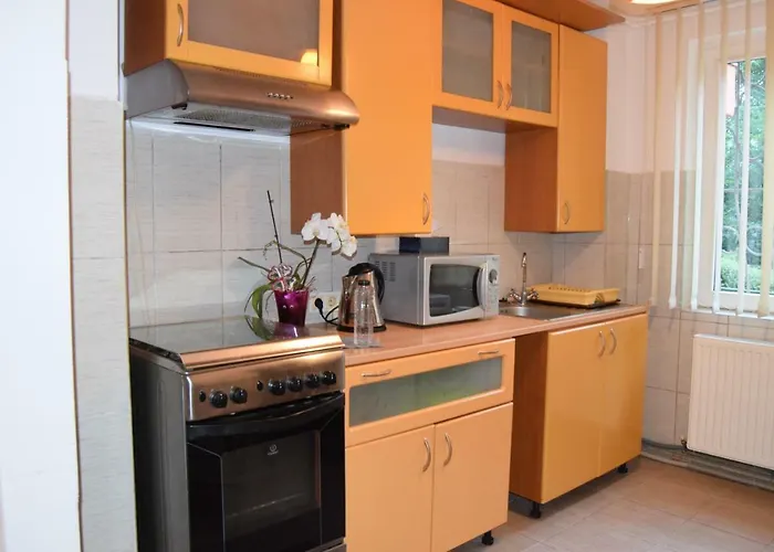 Apartment St's Martin Church Brasov