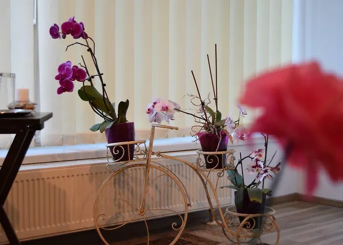 St's Martin Church Apartment *